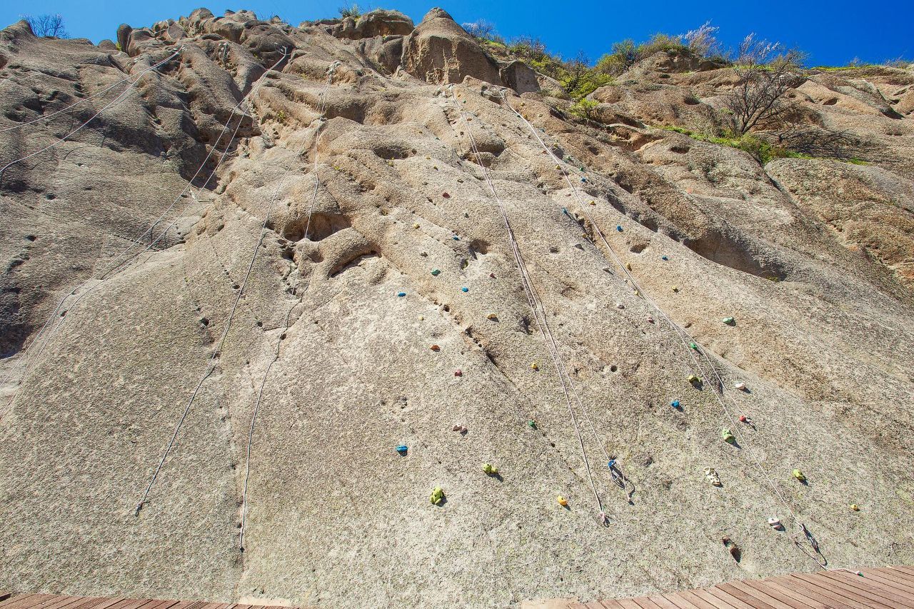 Logo 100 8Dc0Fcb2221Baa394C864Ad12E38602B