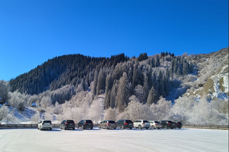 Logo 34 0A56B20D63005Da7Bca99398B54A2C93