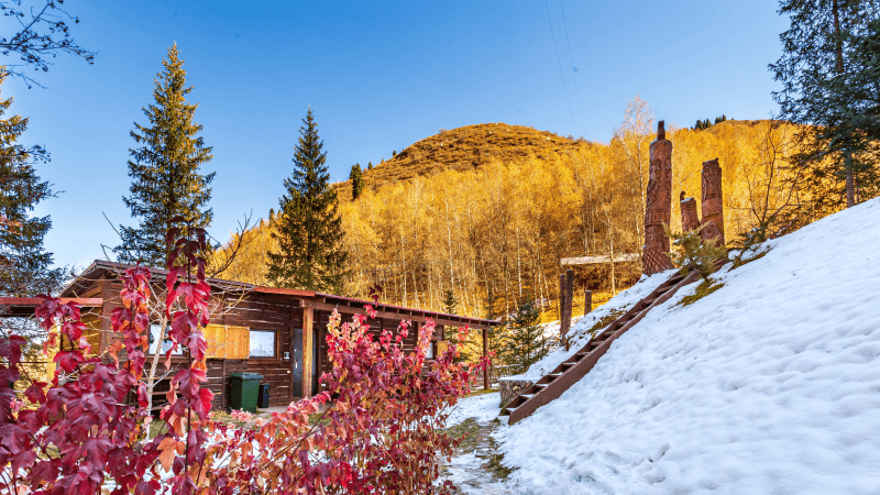 Logo 55 A288Ff15F9A8E459C4F1A4836Cca8C01