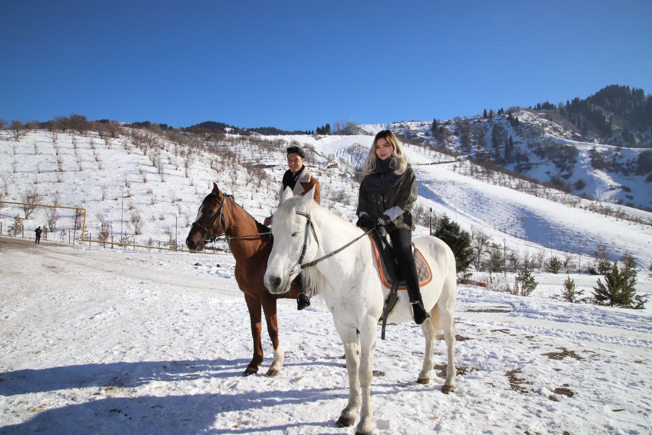 Logo 86 E2577C2939Be2Ebdffe2329377A992A4