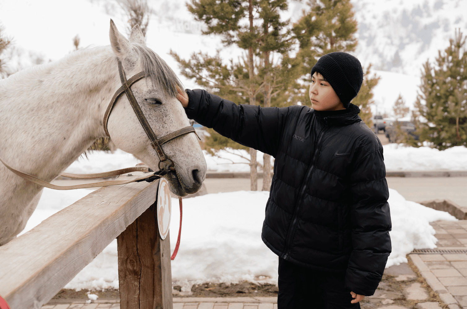 Logo 87 0De79940F7654688Df6433810Ce4918B