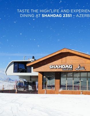 Img 102 Thumb 313 400 0 0 Crop