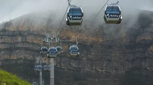 Img 50 Thumb 536 237 0 0 Auto