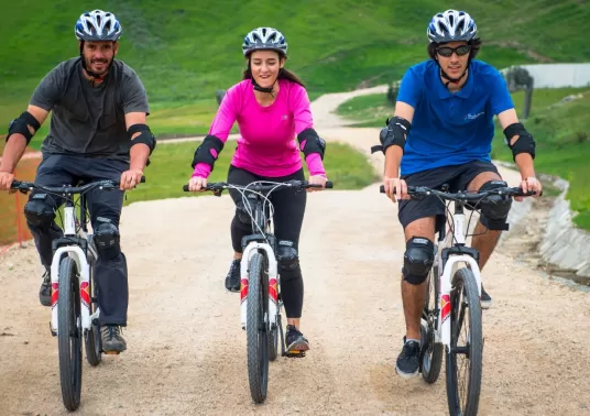 Img 56 Thumb 536 237 0 0 Auto