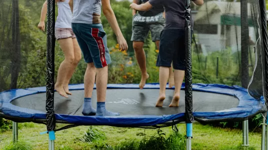 Img 68 Thumb 536 237 0 0 Auto