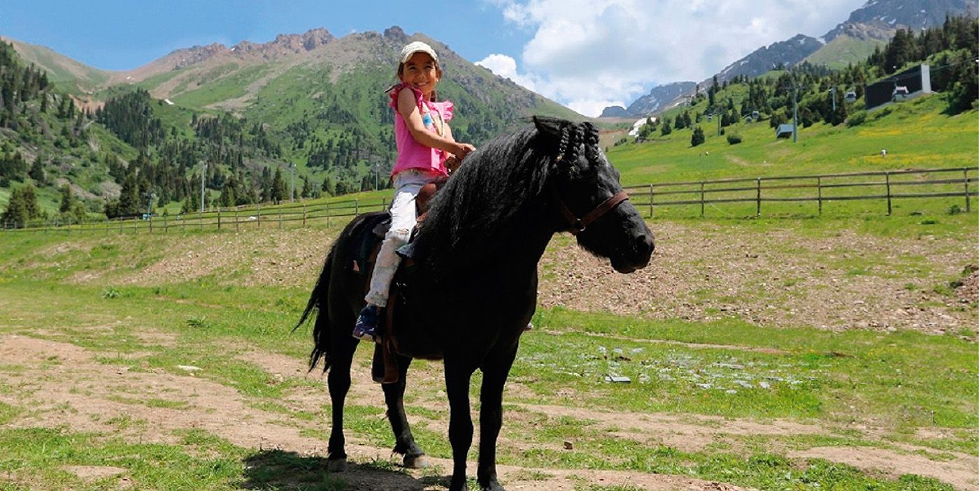 Img 50 64E667C329A1D08Dcb271A9Cee02754F