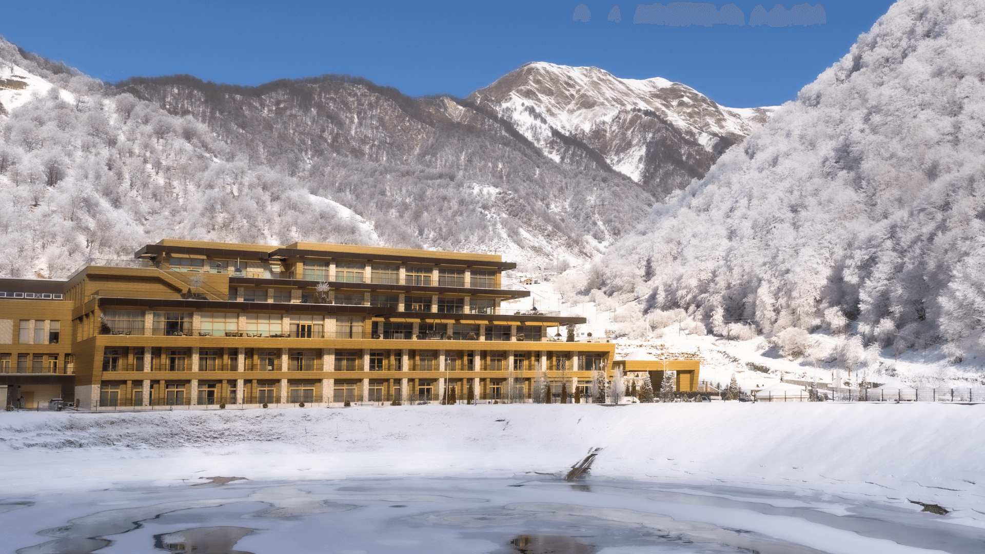 Img 22 Untitled Design 2 1